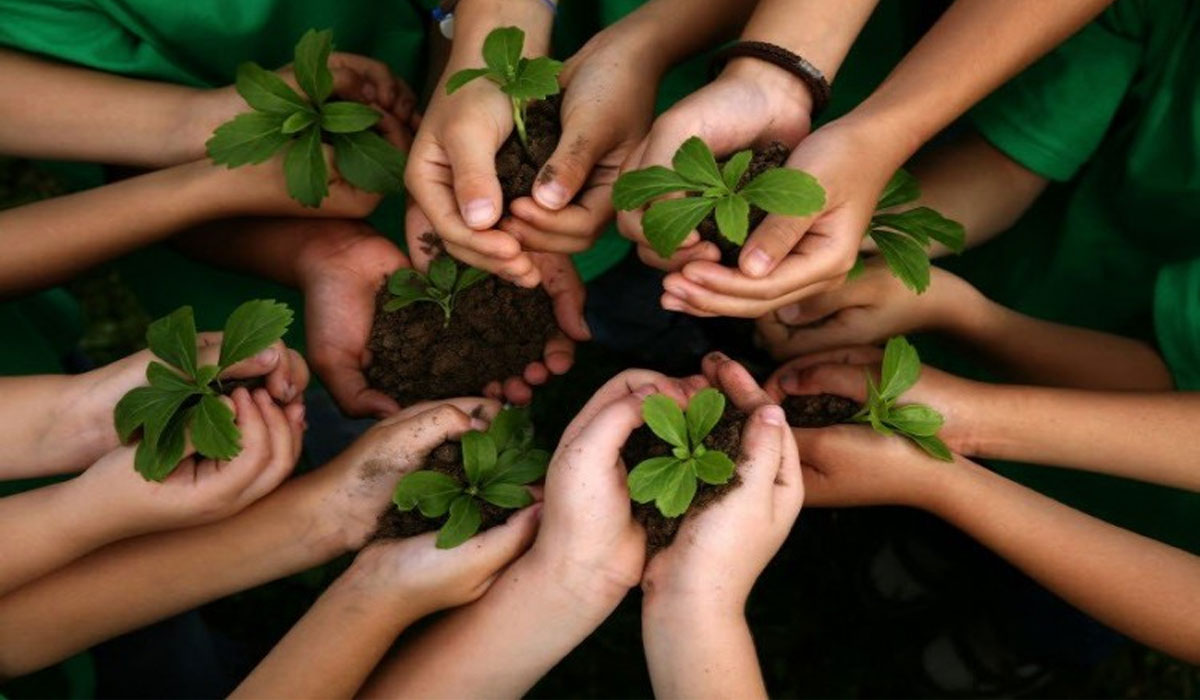 VIRAL! Aksi Sederhana Ini Ternyata Bisa Selamatkan Lingkungan, Kamu Sudah Coba?
